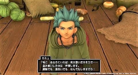 ドラクエカミュ